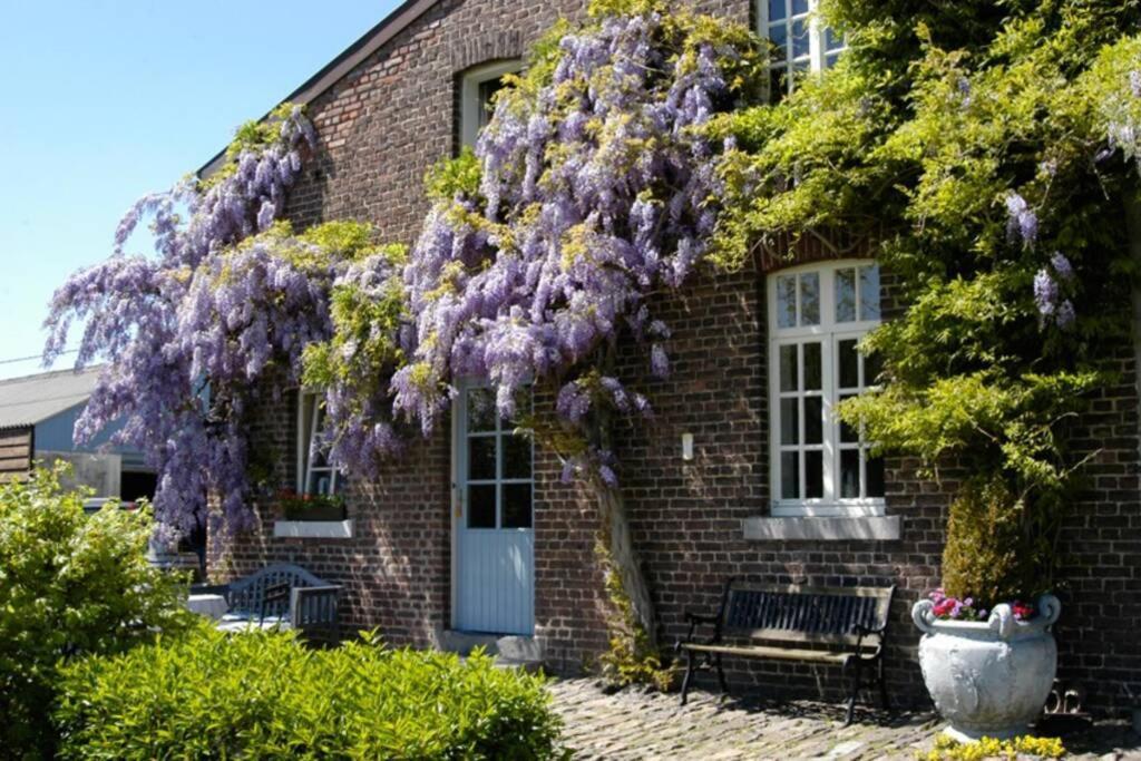 Hoeve Espewey Cottage 亨布尔格 外观 照片